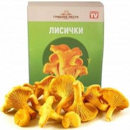 Грибное Место
