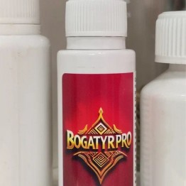 BogatyrPro