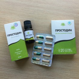 Простодин